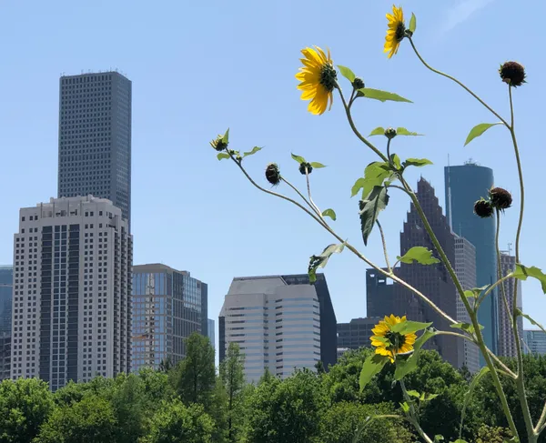 Houston’s 2026 housing market outlook: easing mortgage rates, higher inventory, and persistent affordability pressures