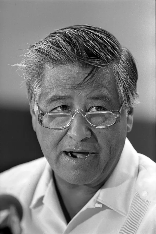 Houston officials begin process to rename Cesar Chavez Boulevard after newly publicized sexual abuse allegations