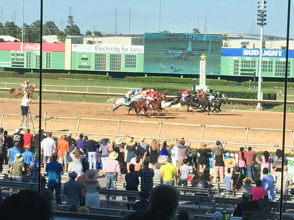 Sam Houston Race Park and MyRacehorse launch fractional racehorse ownership program centered on Texas-based runners