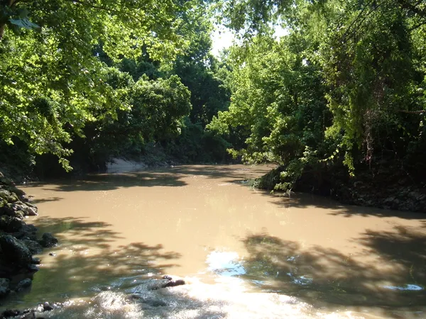 Bayou City Thaw: Houston Rebounds After the Winter Freeze