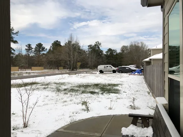 Winter Storm Alert: Major Icy Road Closures and Transit Suspensions in Houston Today