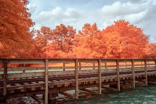 Man Seriously Injured After Being Pinned Under Hermann Park Railroad Train During Afternoon Incident